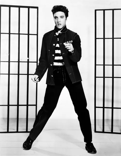 Elvis Presley — celebrity birth chart